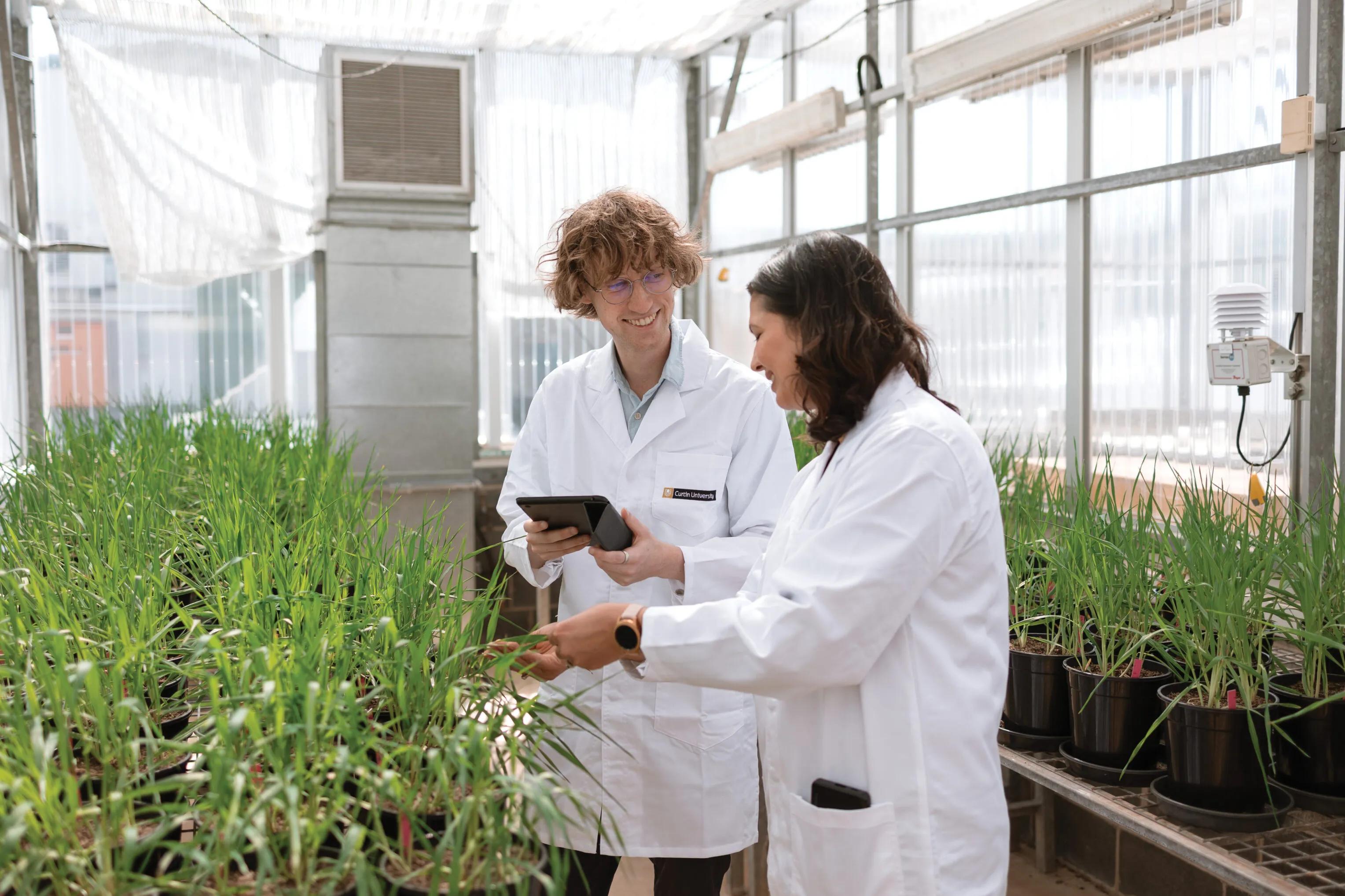 Agribusiness students in a greenhouse