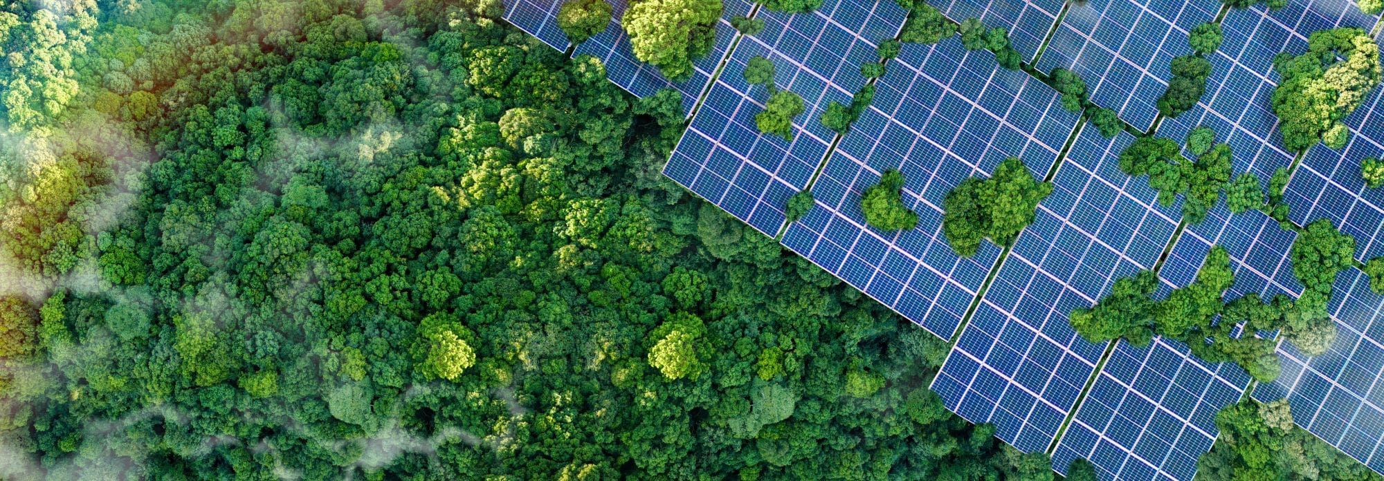 Climate change and renewable energy
