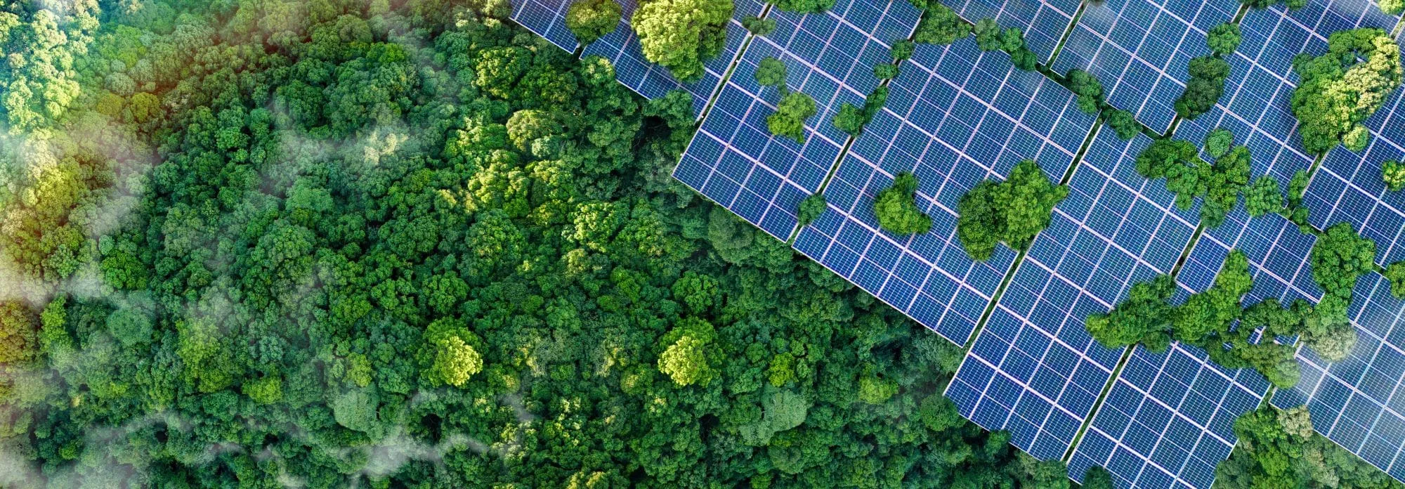 Climate change and renewable energy