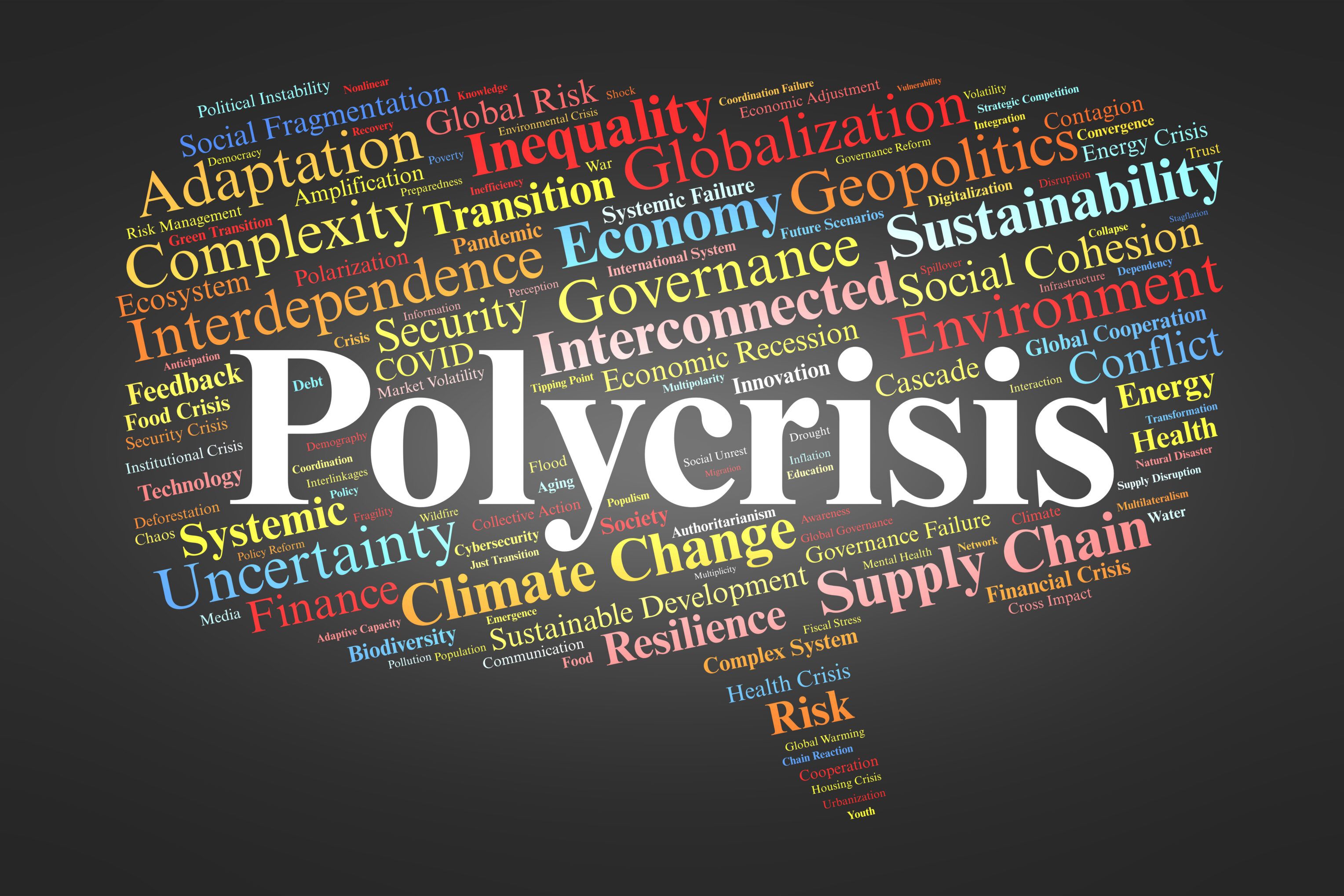 Navigating the polycrisis